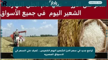 تراجع جديد في سعر الأرز الشعير اليوم الخميس.. تعرف على السعر في الأسواق المصرية